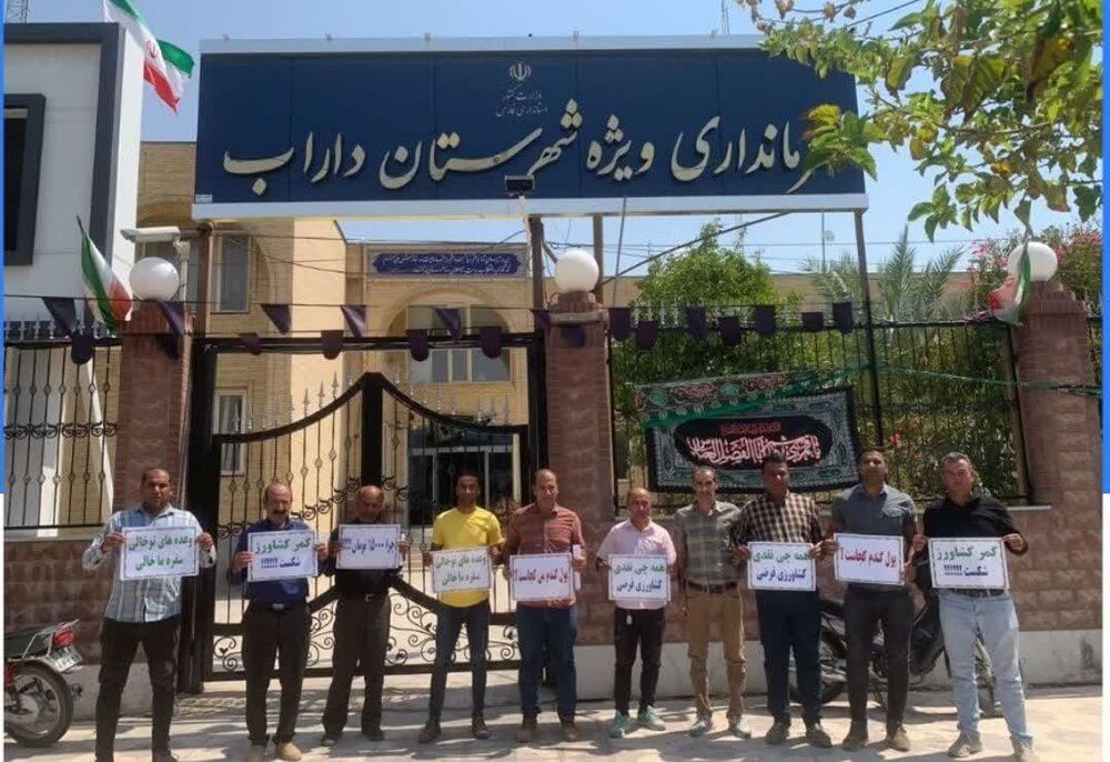 «غم گندم،رنج نان» حکایت این روزهای گندمکاران فارس