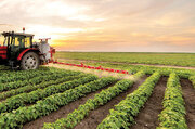 پرداخت 43 میلیارد ریال تسهیلات به مددجویان جهت توسعه بخش کشاورزی