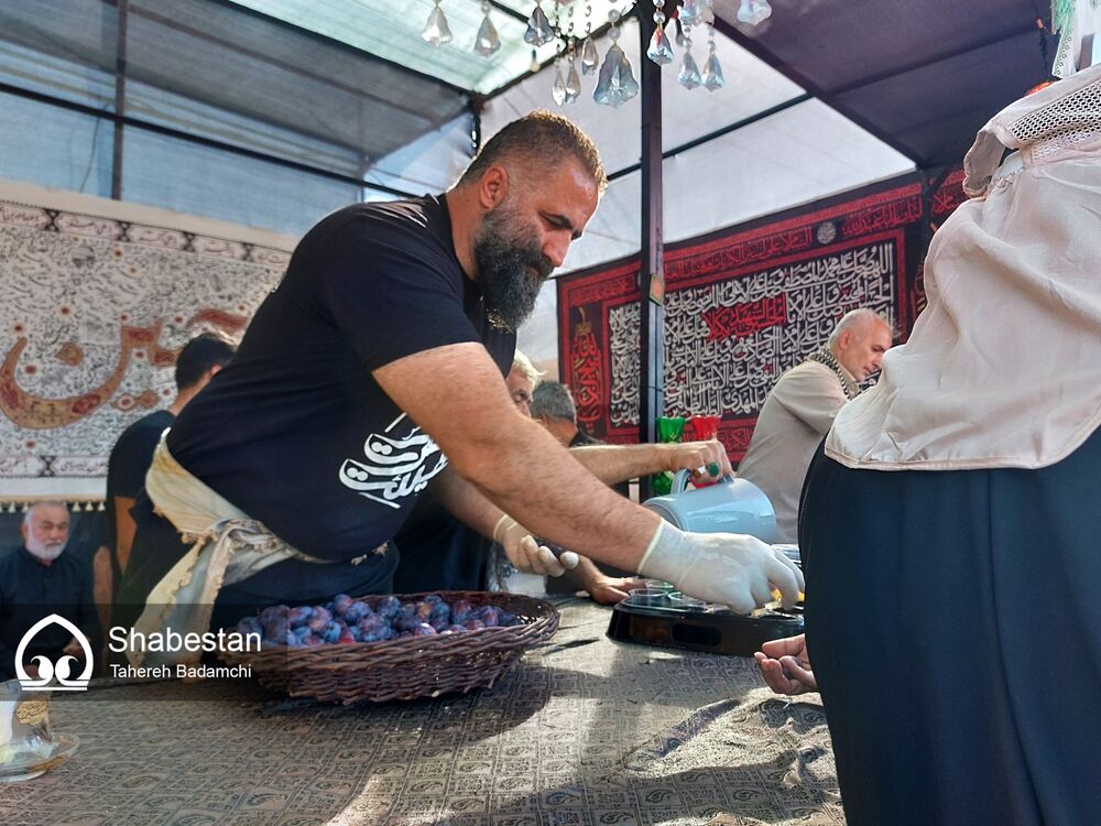 وفور نعمت و امکانات پذیرایی در مسیر پیاده‌روی اربعین+تصاویر