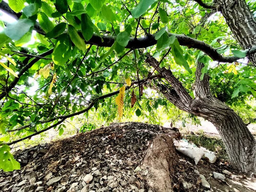 گزارش تصویری/طبیعت زیبای روستای مانوند در آستانه فرارسیدن فصل پاییز