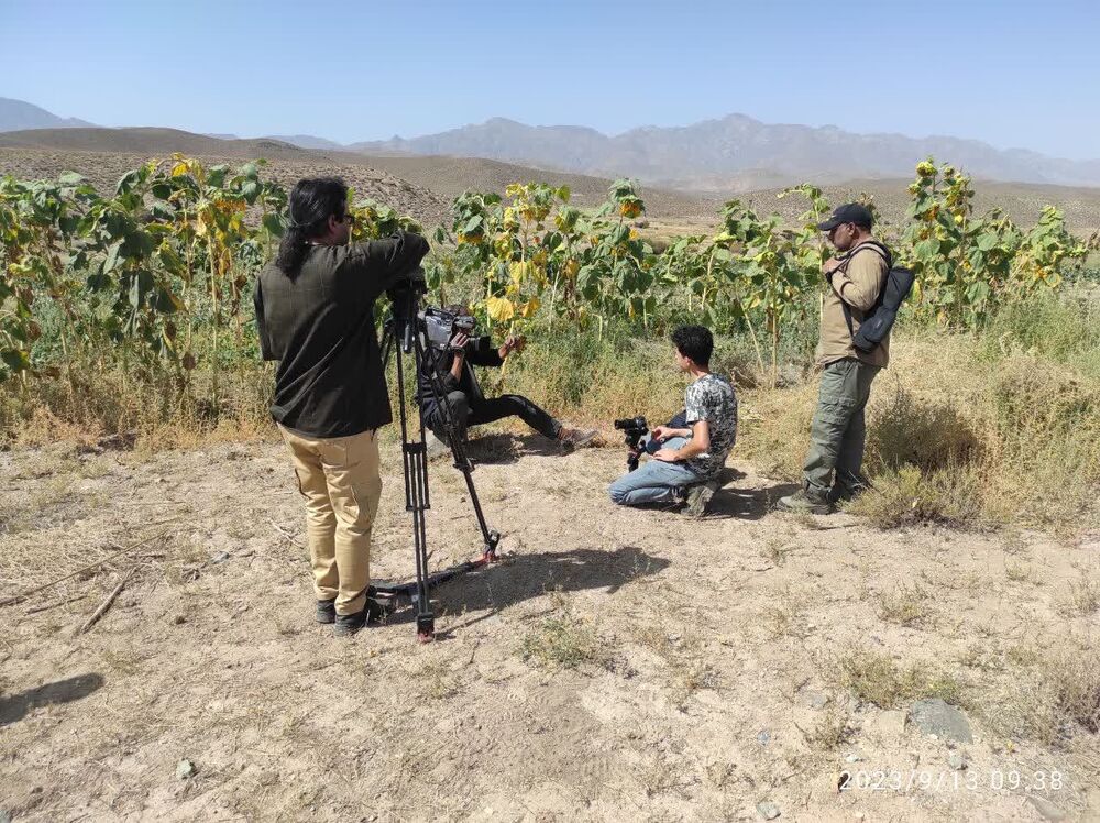 لزوم پرداختن به سینمای مستند دفاع مقدس در جنوب کرمان