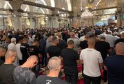 فیلم و عکس/ هزاران فلسطینی نماز صبح را در مسجد الاقصی ادا کردند
