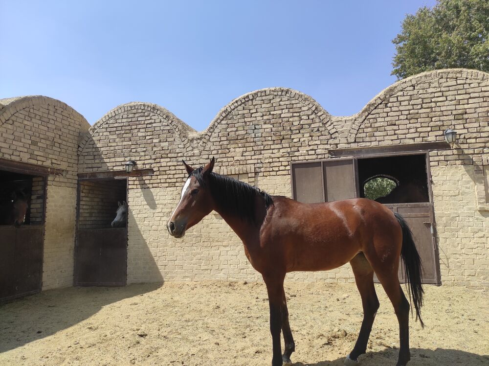 یک روز پاییزی با جاذبه های گردشگری و آثار تاریخی اسفندقه