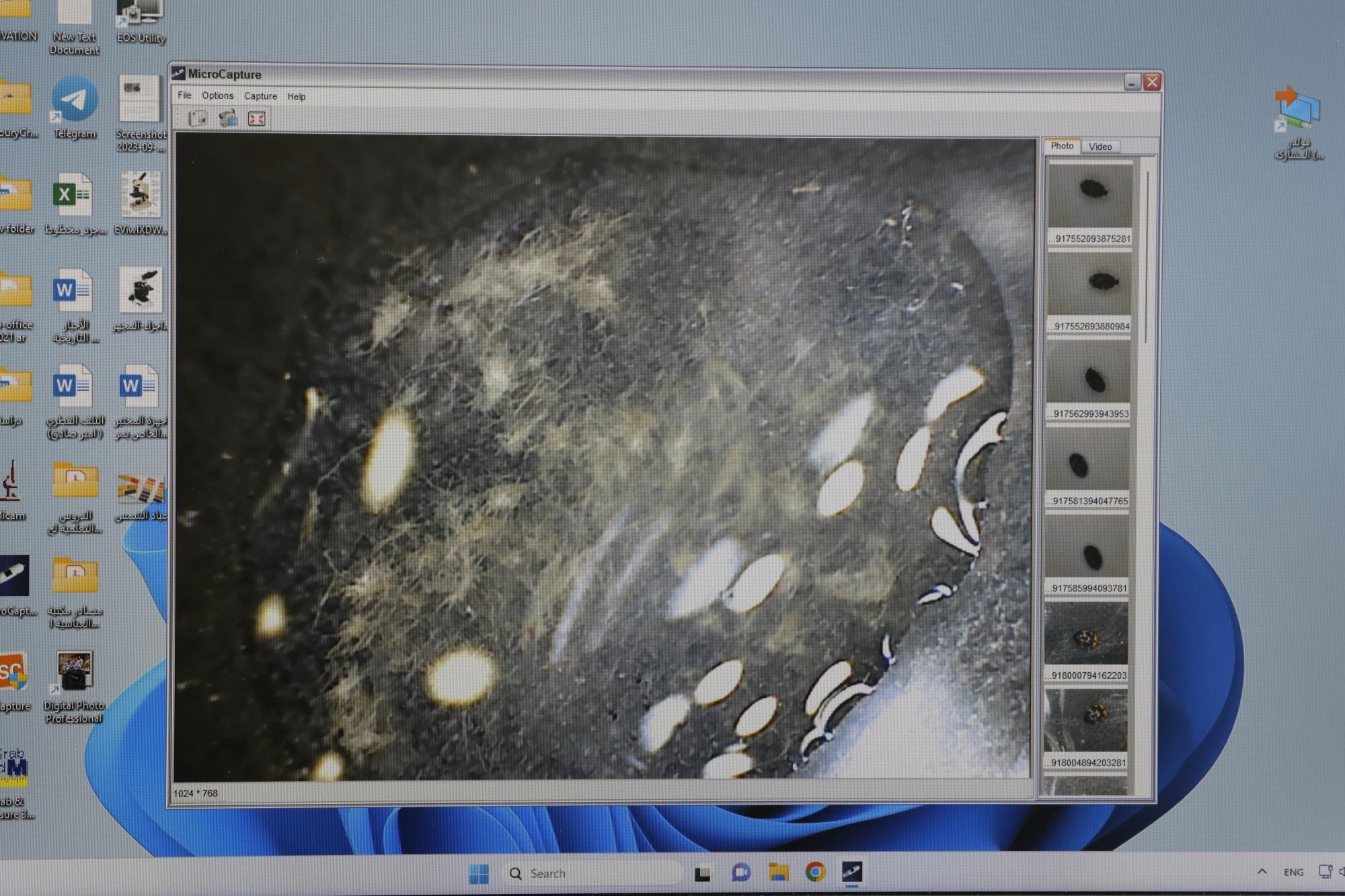 ترمیم نسخه قدیمی انجیل به زبان آلمانی در آستان مقدس عباسی آغاز شد