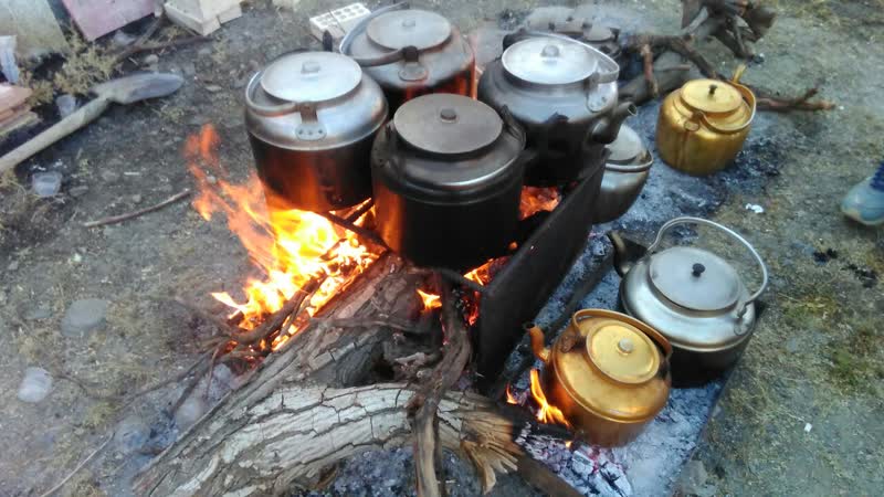 علی آباد دمق میزبان دومین جشنواره گردو و بادام