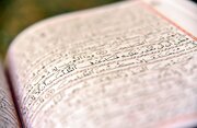 ۴۵۰ دانشجوی فارس به صورت مجازی قرآن را فرا می‌گیرند