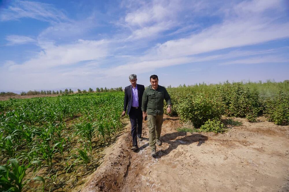 تعهد داوطلبانه فولاد کویر آران و بیدگل برای تولید ۶ میلیون اصله نهال