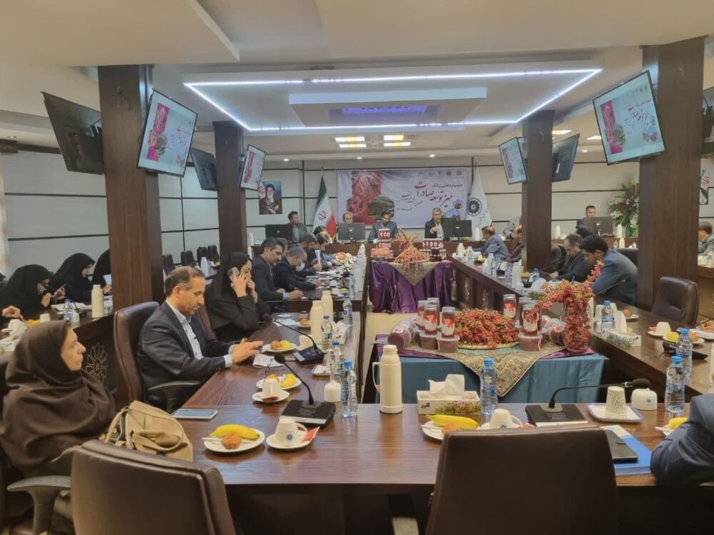 لزوم تعریف استاندارد برای صادرات زرشک/ بارقههای امید را روشن نگه داریم