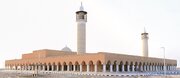 مسجد جامع «شیخ سلطان بن زاید» در امارات افتتاح شد