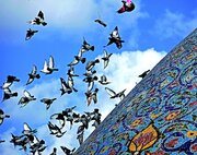 طرح «از مسجد تا مصلی» در لارستان اجرا می شود