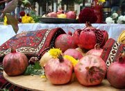 برگزاری جشنواره « انار تفت» با رویکرد جایگزینی کشاورزی سنتی به مدرن