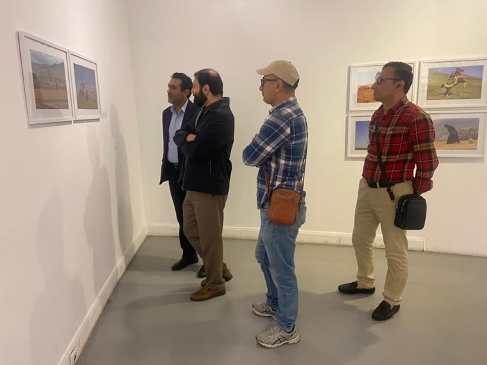 بازدید مدیرکل فرهنگ و ارشاد کهگیلویه و بویراحمد از نمایشگاه «دارد پای خورشید را به خانه باز میکند»