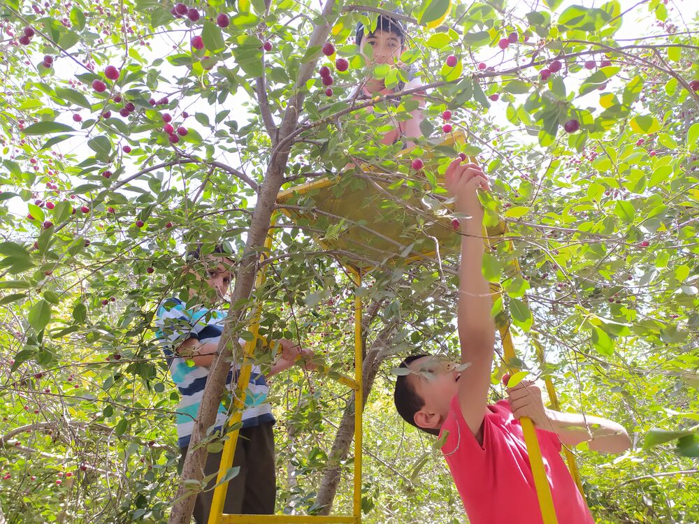 دانشآموزان در این مسجد زندگی کردن را یاد میگیرند