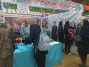 فعالیت‌های نوجوان‌محور کانون‌های مساجد کرمانشاه در نمایشگاه «هفته نوجوان» معرفی شد