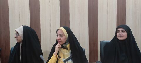 سفر مشاور امور اجتماعی وزیر فرهنگ و ارشاد اسلامی به جیرفت/ به روایت تصویر