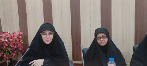 سفر مشاور امور اجتماعی وزیر فرهنگ و ارشاد اسلامی به جیرفت/ به روایت تصویر