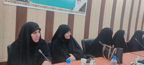 سفر مشاور امور اجتماعی وزیر فرهنگ و ارشاد اسلامی به جیرفت/ به روایت تصویر