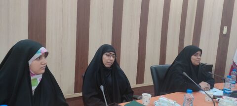 سفر مشاور امور اجتماعی وزیر فرهنگ و ارشاد اسلامی به جیرفت/ به روایت تصویر