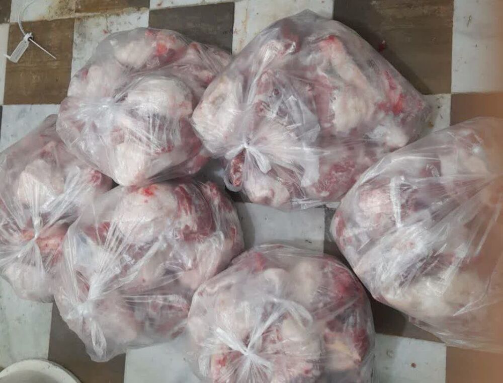 نوزدهمین مرحله قربانی و عقیقه به همت خادمیاران رضوی در کرمانشاه اجرا شد