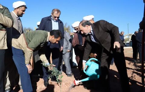 کاشت یک میلیارد درخت در کشور مورد تأکید رهبر معظم انقلاب است