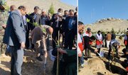 طرح کاشت یک میلیارد درخت در سیستان و بلوچستان آغاز شد
