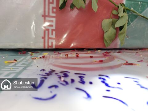 فیلم| استقبال از پیکر مطهر یک شهید گمنام در راین