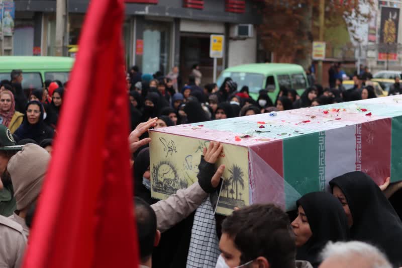 لالههای زهرایی میهمان ملایریها شدند