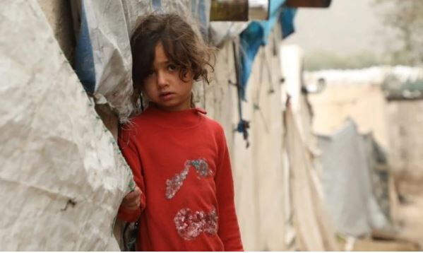 کمک به غزه، طرح اصلی خیریههای اسلامی سراسر جهان در زمستان ۲۰۲۴