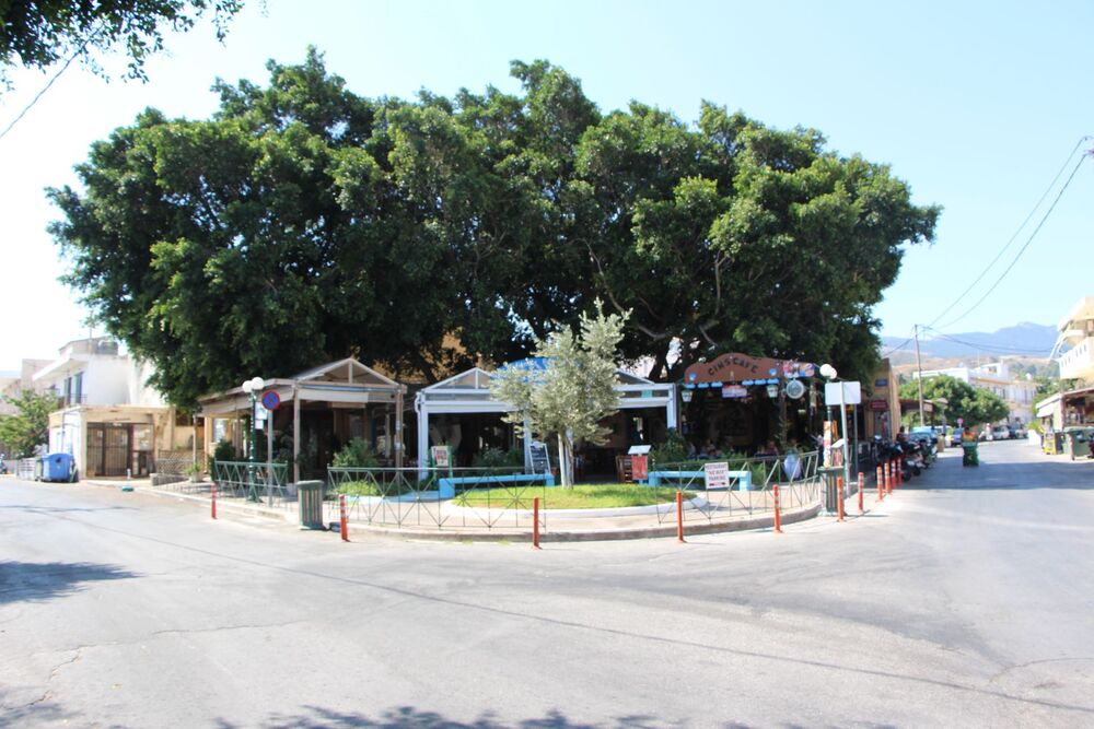 «پلاتانیا»، دهکدهای زیبا با تمدن ترکیبی مسلمانان و مسیحیان در یونان