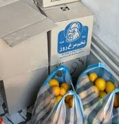 توزیع ۷۰ بسته یلدای مهدوی به همت کانون امام علی(ع) در ساری