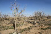 خشکسالی در چهارمحال و بختیاری رکورد زد