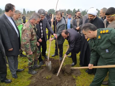 بیش از ۵۰۰ اصله نهال در آستارا کاشته شد