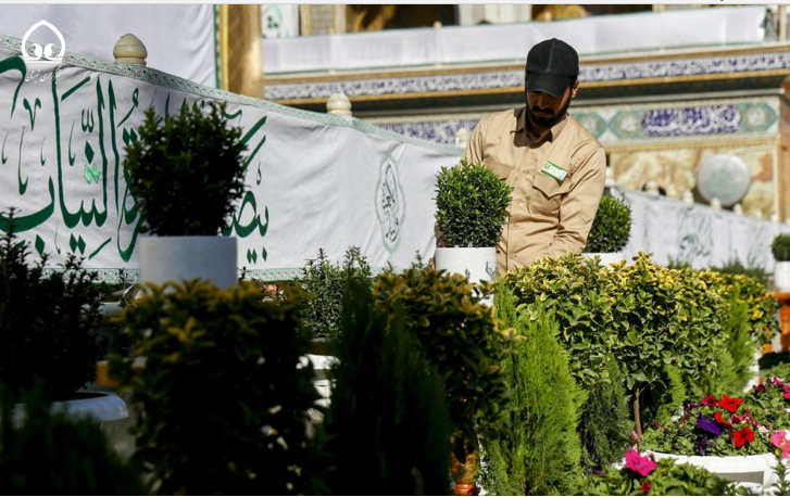 گل آرایی آستان مطهر علوی با ۲۵۰۰ گل طبیعی به مناسبت میلاد امام علی(ع)+ عکس