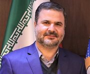 بیمه ایران به دنبال مشارکت در طرح اقتصادی زودبازده برای استان کرمان است
