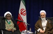 امثال شیخ زکزاکی اجازه خاموش شدن گفتمان انقلاب اسلامی را ندادند