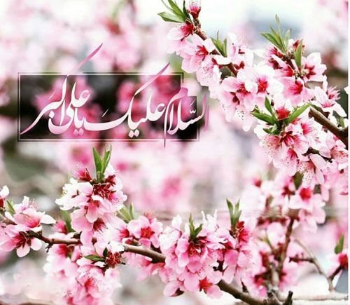 جوانانی که با اسم رمز علیاکبر به امام زمان خود عرض ارادت میکنند