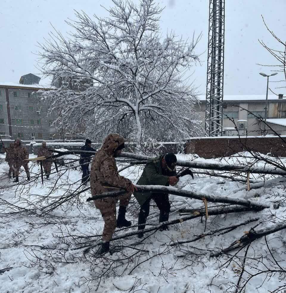 کمکرسانی بسیج به مردم گرفتار در برف/ جهاد ادامه دارد