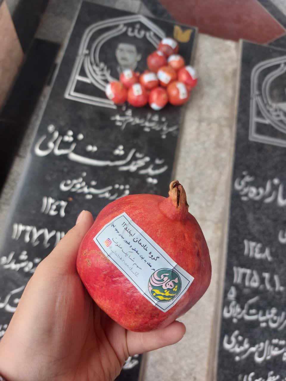 سه شنبههای مهدوی به عشق سربازی گمنام امام زمان