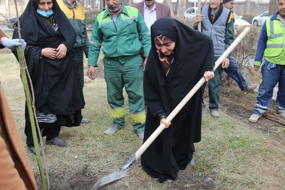 غرس درخت به یاد شهید و شهیده ای که خواهر و برادر بودند!