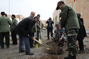 کاشت نهال در بیرجند به مناسبت روز درختکاری