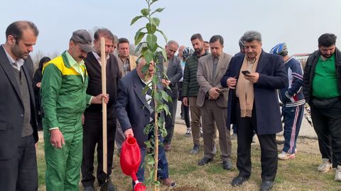 کاشت نهال به نام و یاد شهدا در شهرستان لنگرود