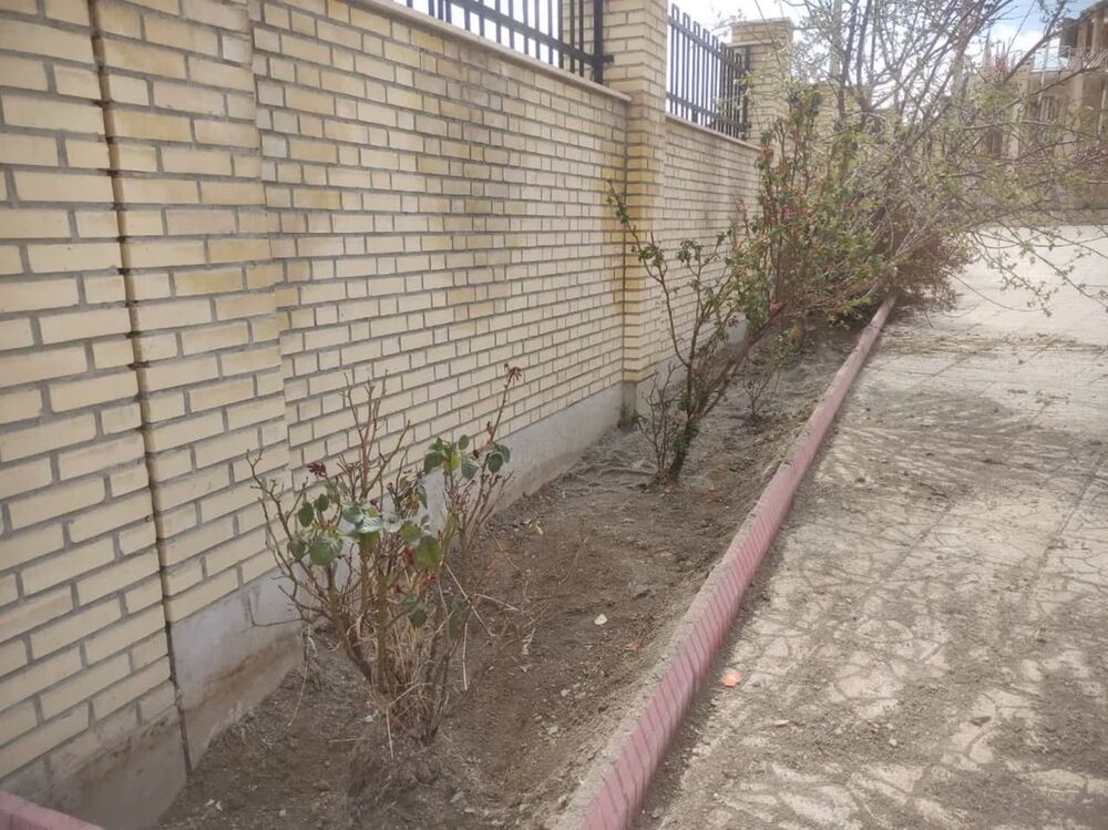 ۸ نهال مثمر به نام شهدا در محوطه ستاد کانونهای مساجد کرمانشاه کاشته شد