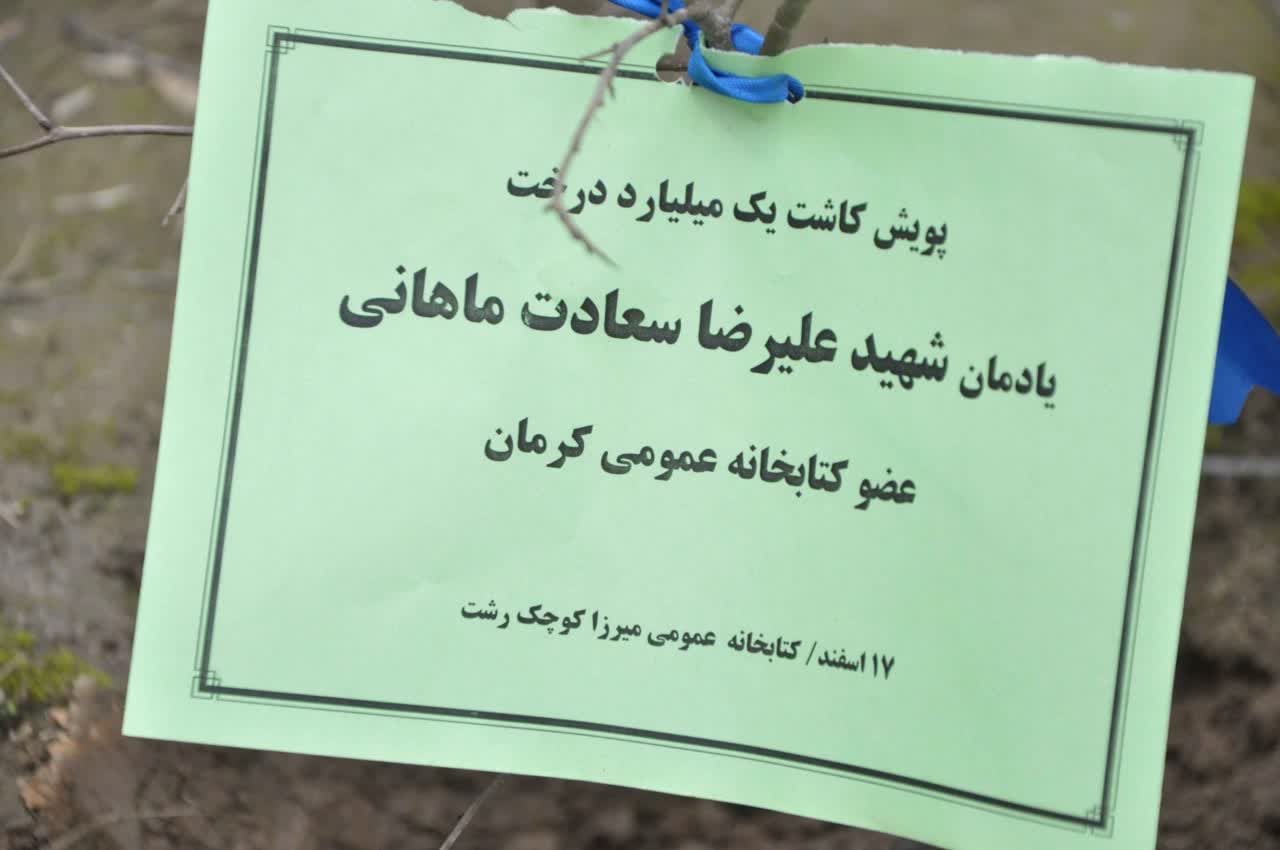 غرس ۴ اصله نهال به یاد شهدای نوجوان کرمانی در رشت
