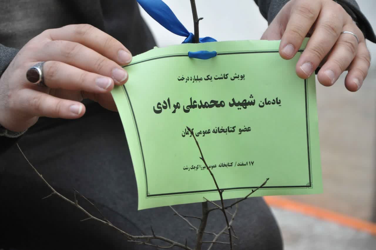 غرس ۴ اصله نهال به یاد شهدای نوجوان کرمانی در رشت
