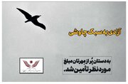 ۵۰ زندانی غیرعمد دیگر با کمک طرفداران محسن چاوشی آزاد شدند
