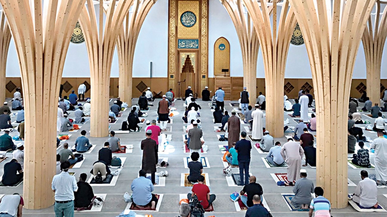 مسجد کمبریج؛ شاهکار معماری سبز+عکس - شبستان