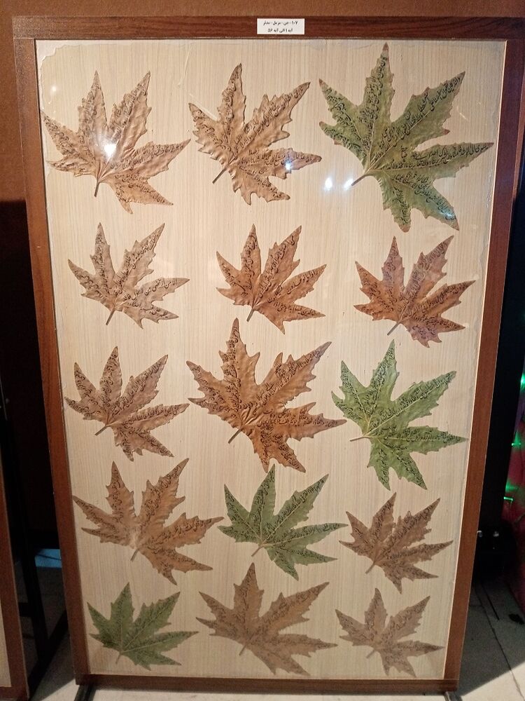 کتابت نستعلیق آیات روی برگهای درخت چنار