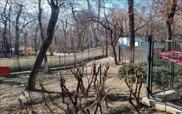 ماجرای ساخت مسجد در بوستان قیطریه به روایت موافقان و مخالفان