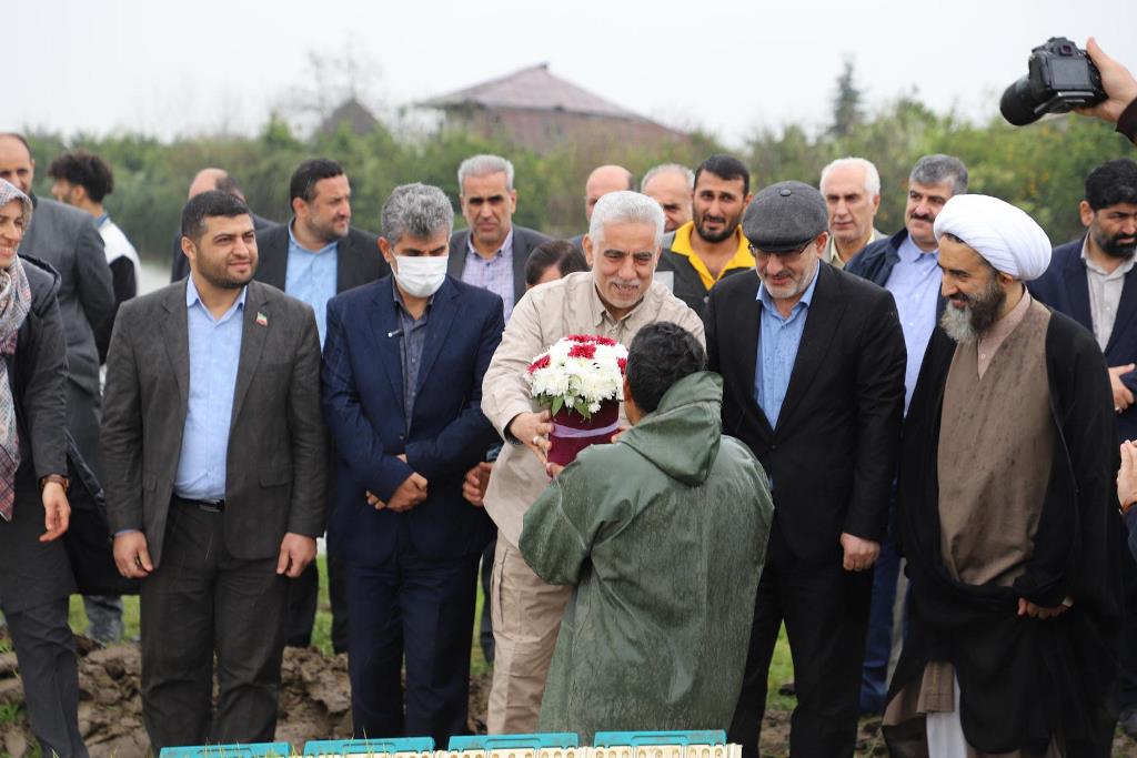آغاز نخستین نشاء مکانیزه درگیلان/ ضرورت تشکیل قرارگاه جهادی مدیریت آب