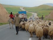 جشن کوچ عشایر تهران بعد از ۵ سال برگزار می‌شود